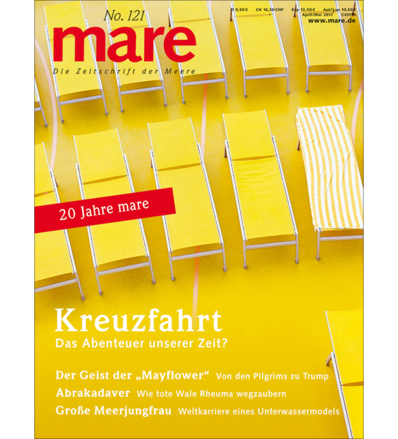 Cover mare 121
