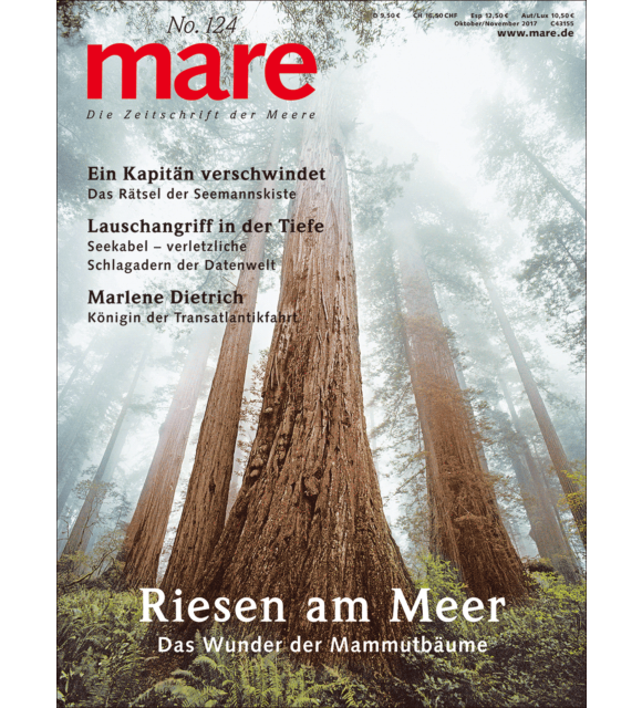 Cover mare 124