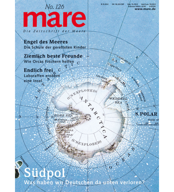 Cover mare 126