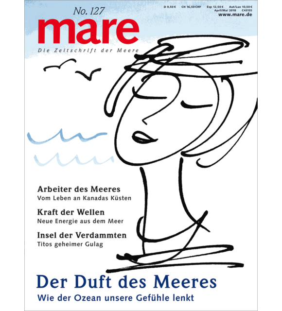 Cover mare 127