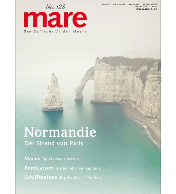 Cover mare 128