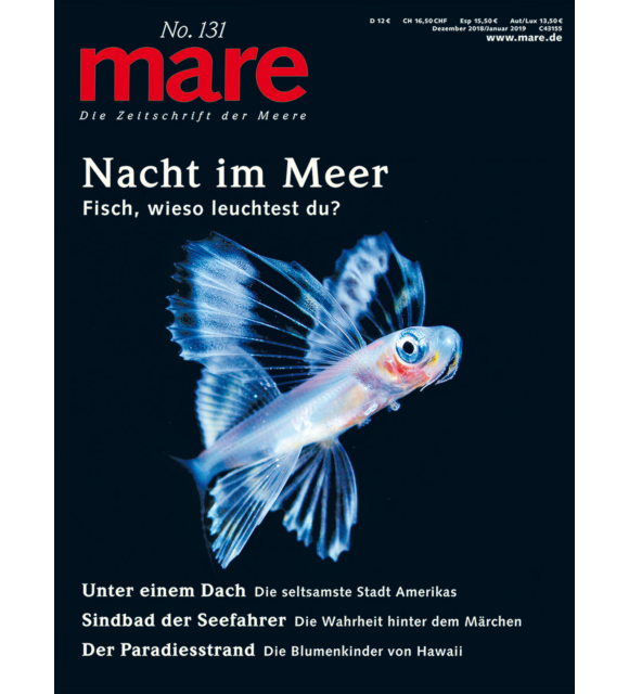 Cover mare 131