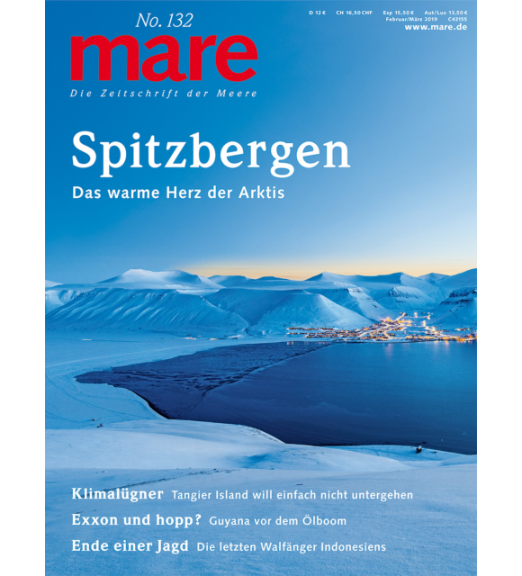 Cover mare 132