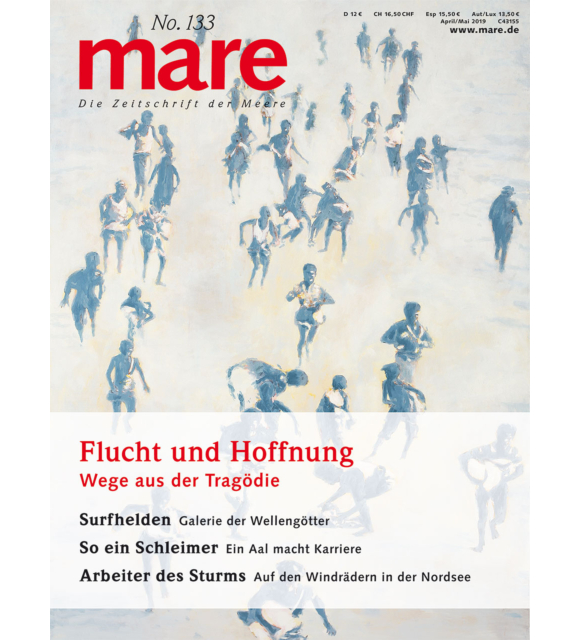 Cover mare 133