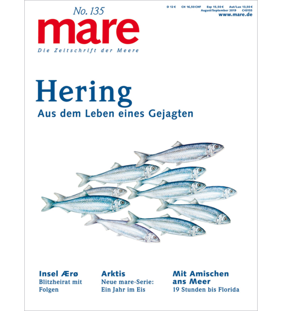 Cover mare 135