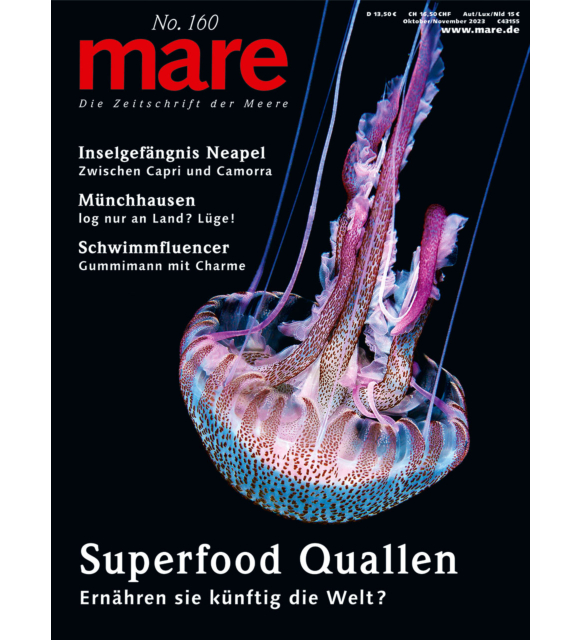 Cover mare 160