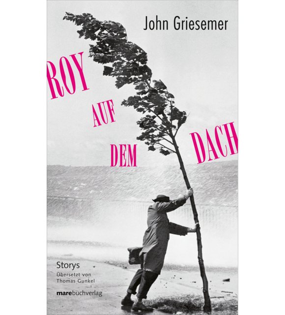 Roy auf dem Dach