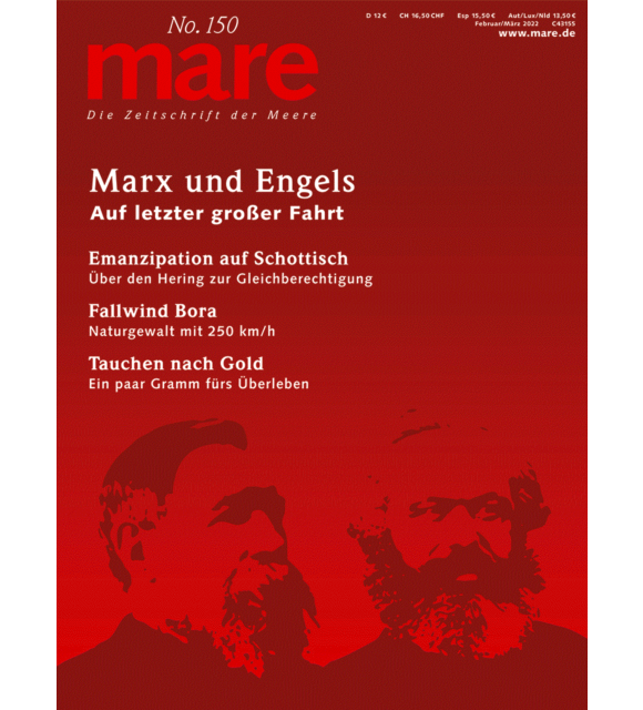 Cover mare 150