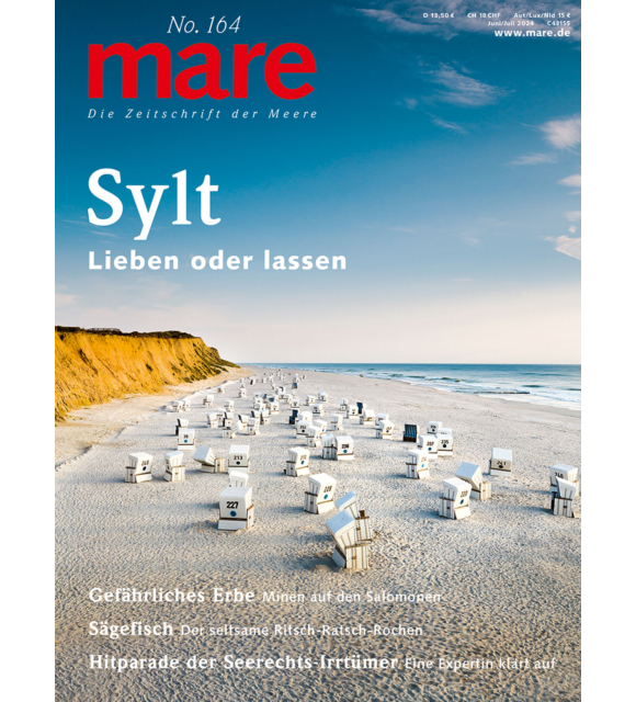 Cover mare 164