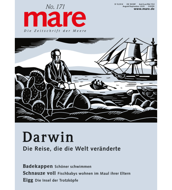 Cover mare No. 171