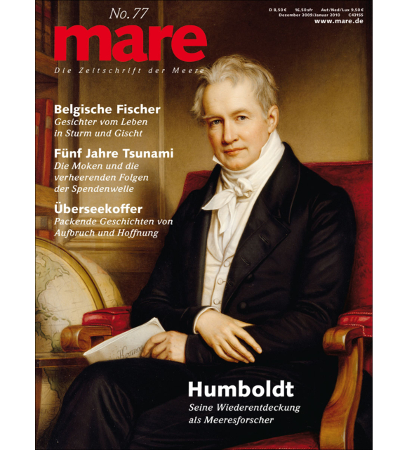 Cover mare 77