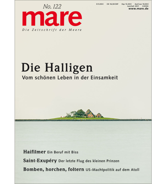 Cover mare 122