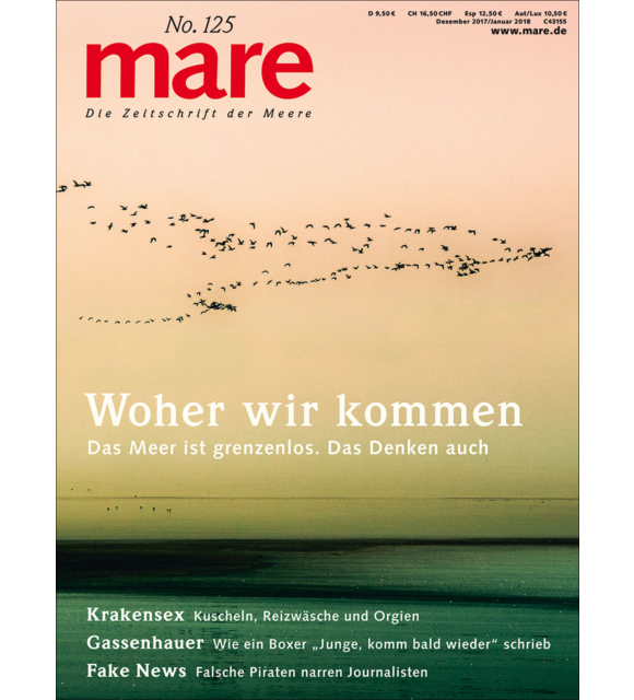 Cover mare 125
