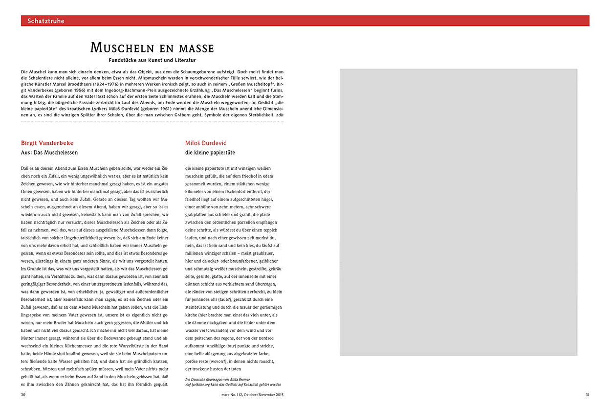 Muscheln en masse
