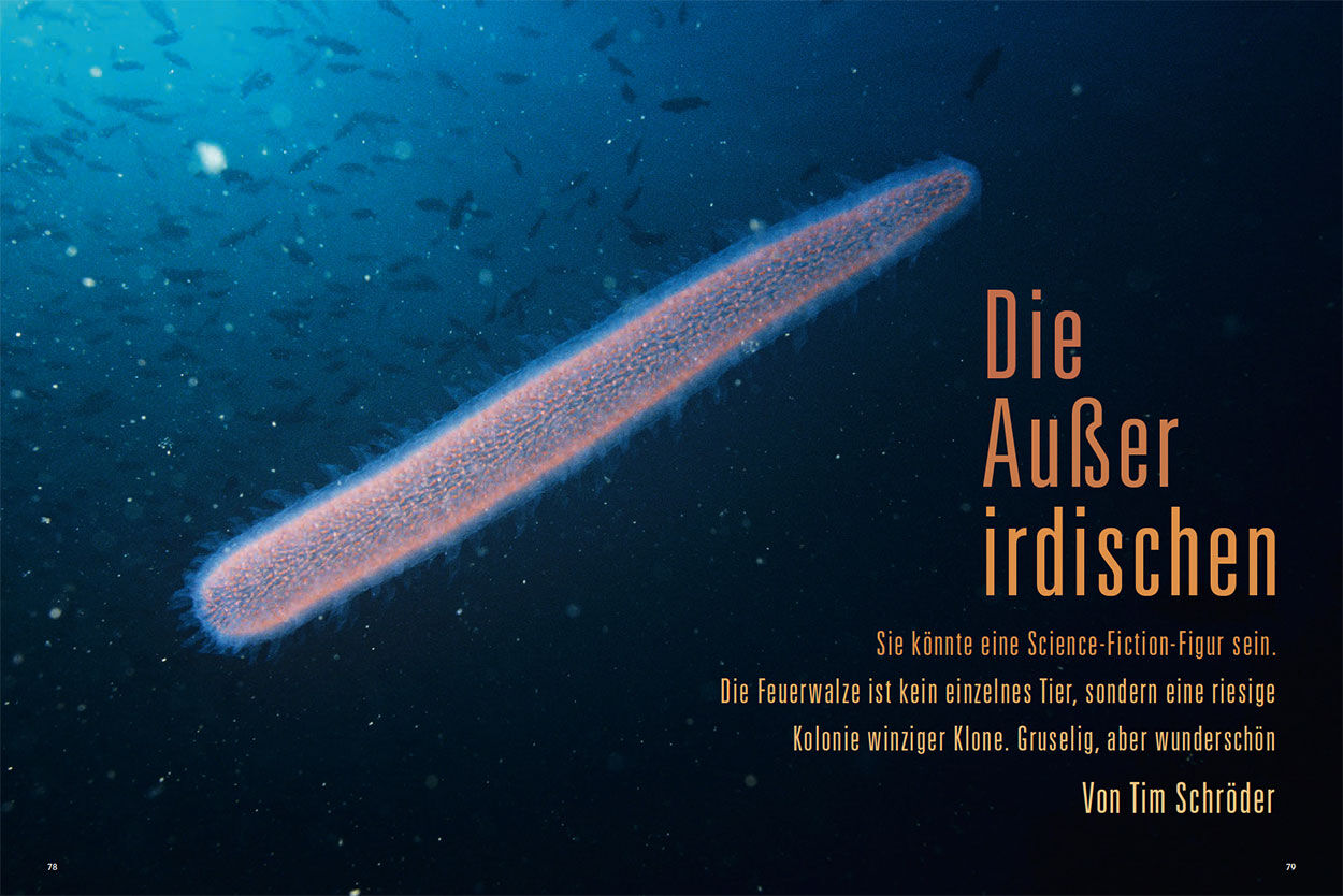 Die Außerirdischen