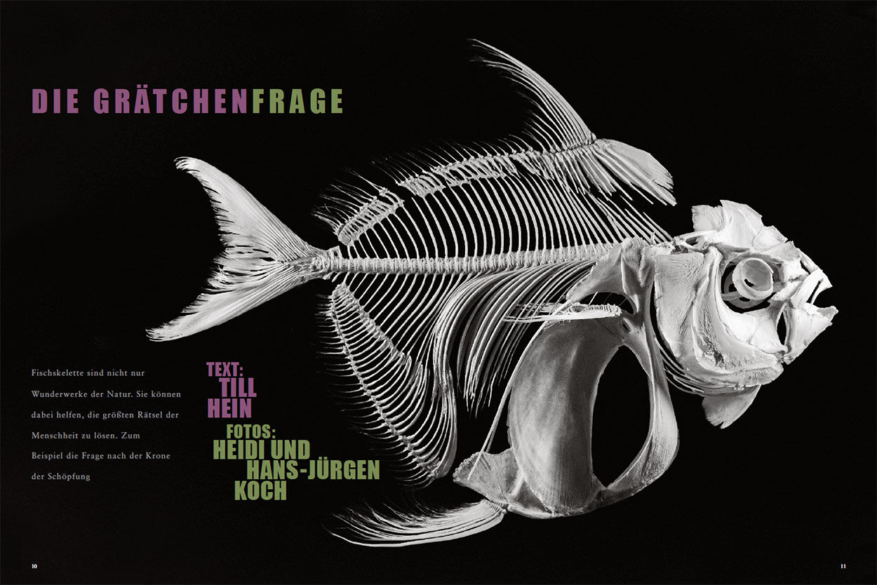 Die Grätchenfrage