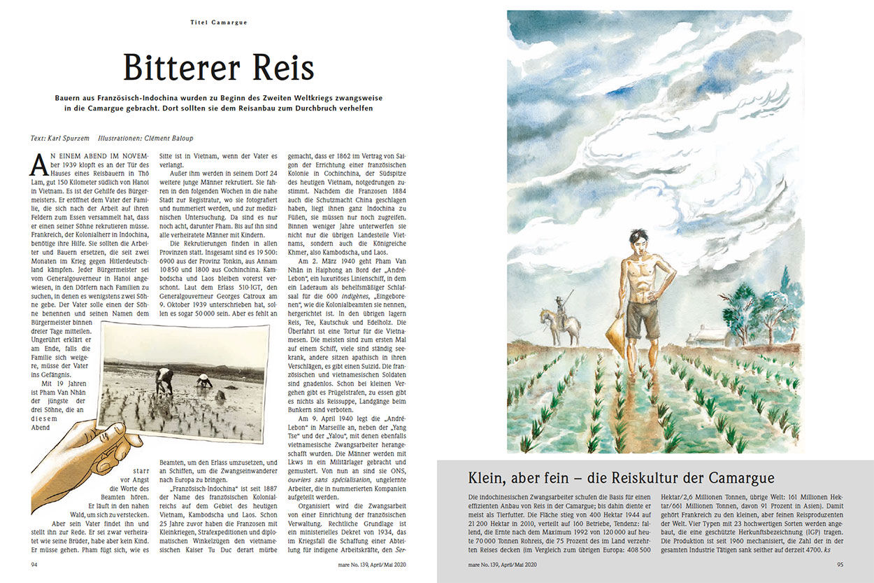 Bitterer Reis
