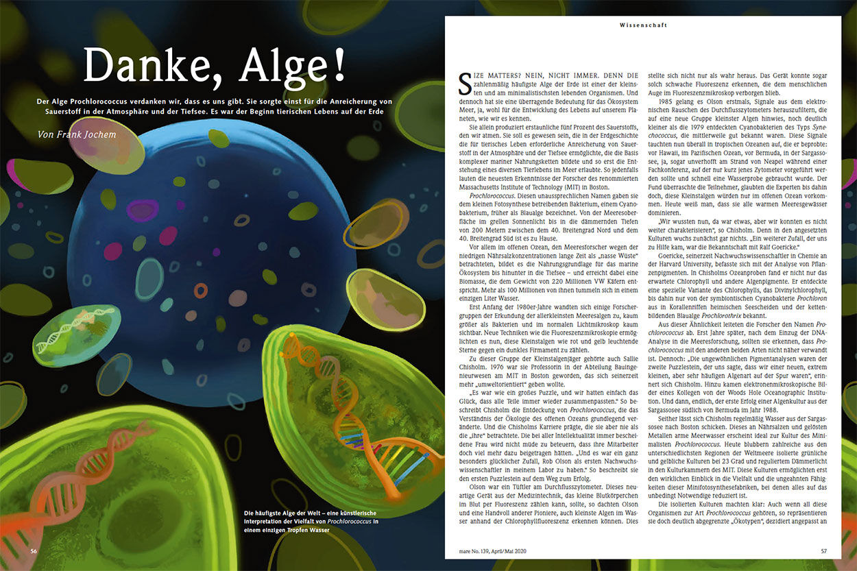 Danke, Alge!