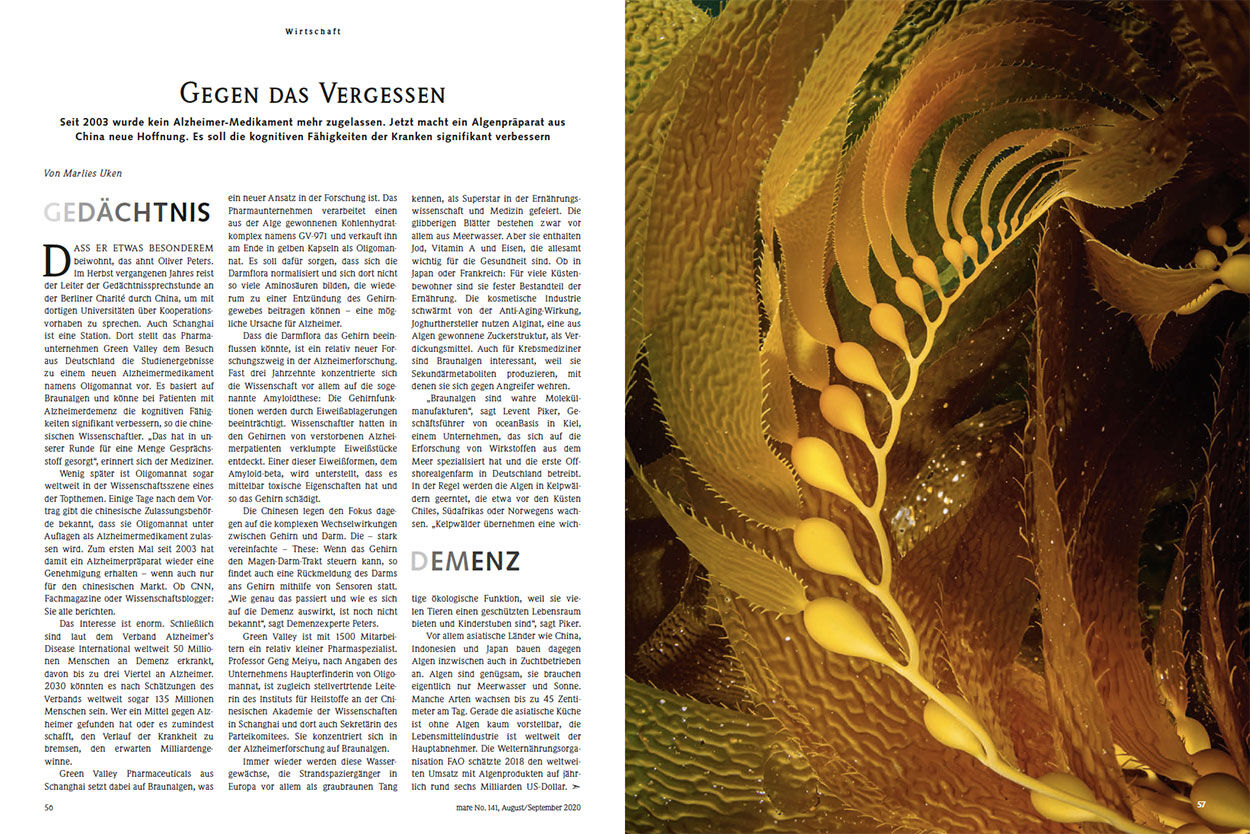 Gegen das Vergessen