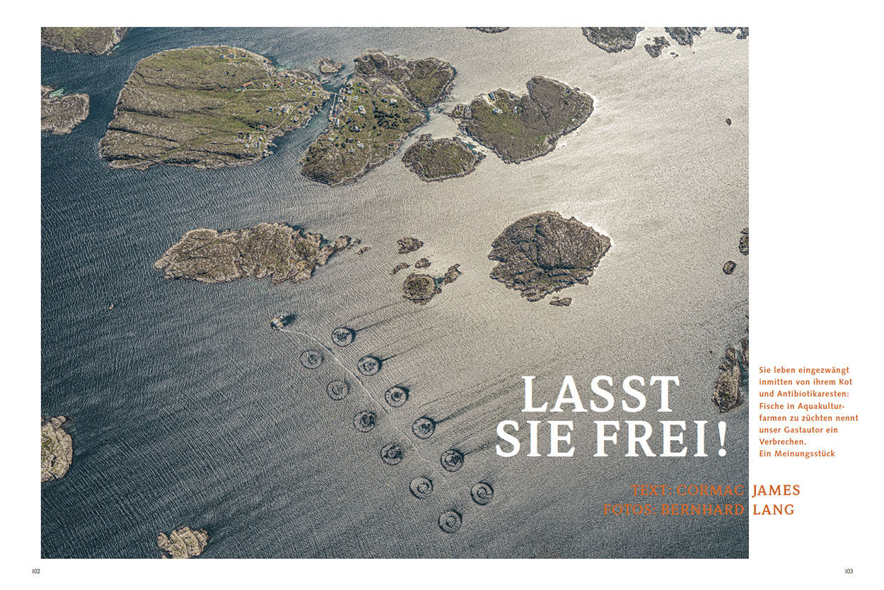 Lasst sie frei!