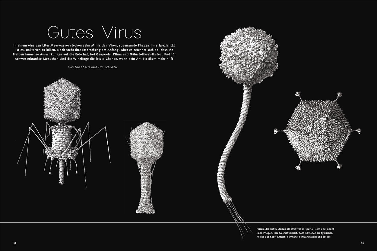 Gutes Virus