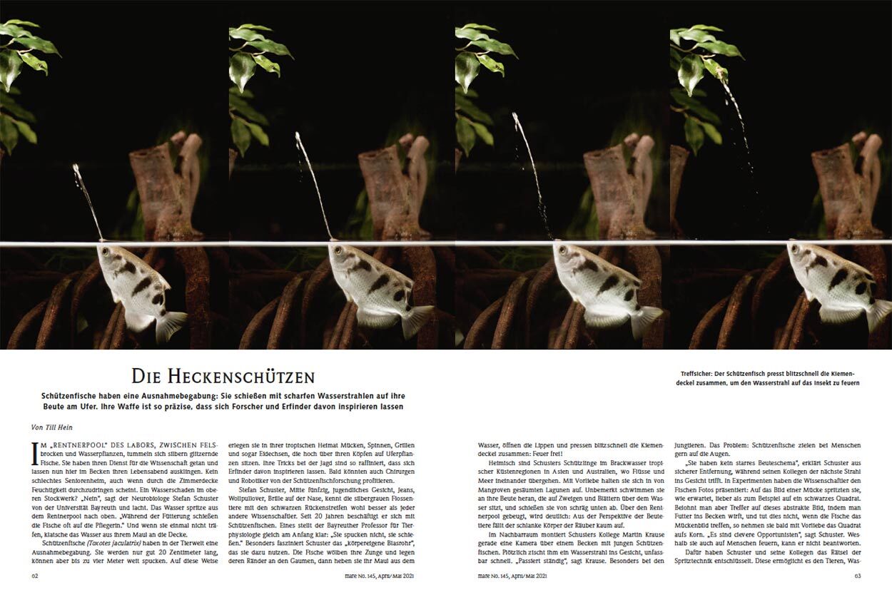 Die Heckenschützen