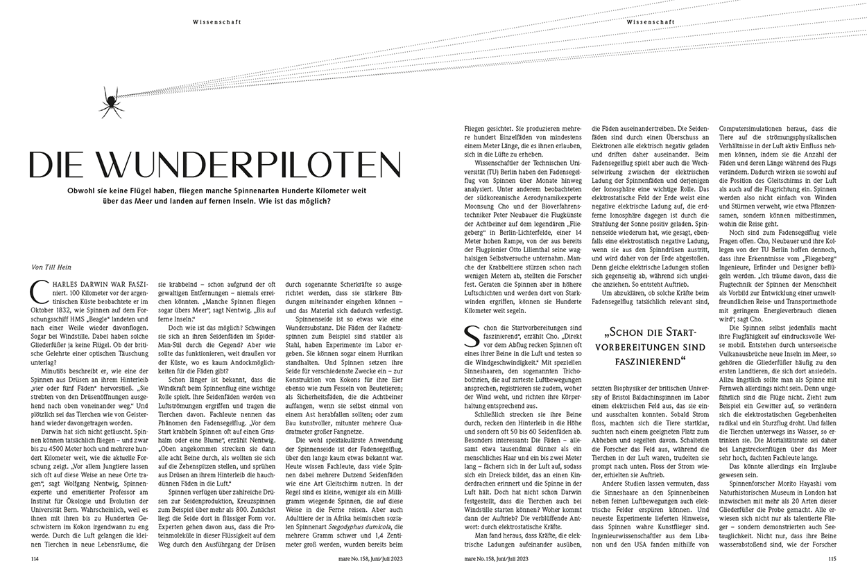 Die Wunderpiloten