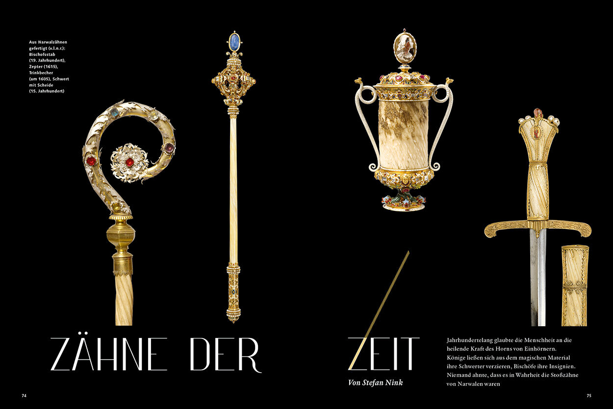 Zähne der Zeit