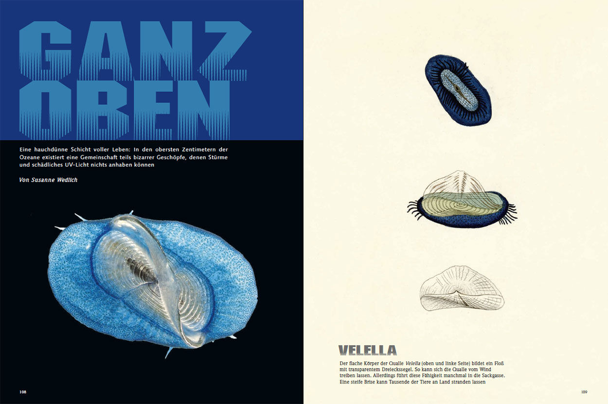 Ganz oben