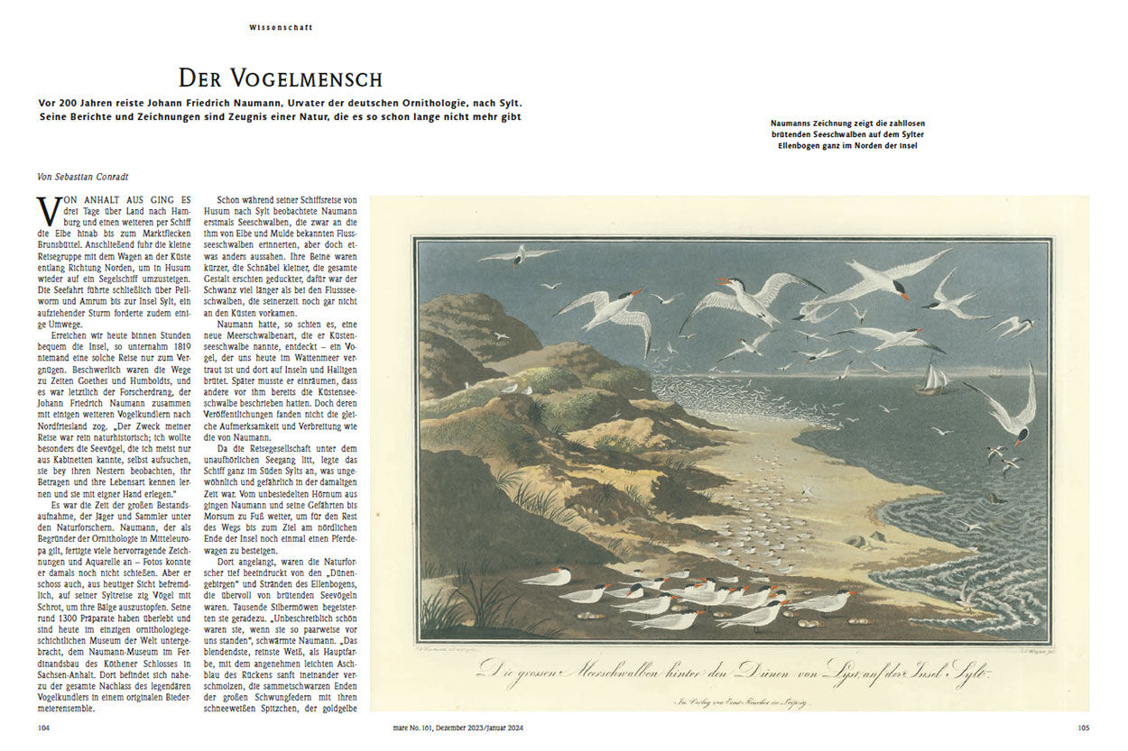 Der Vogelmensch
