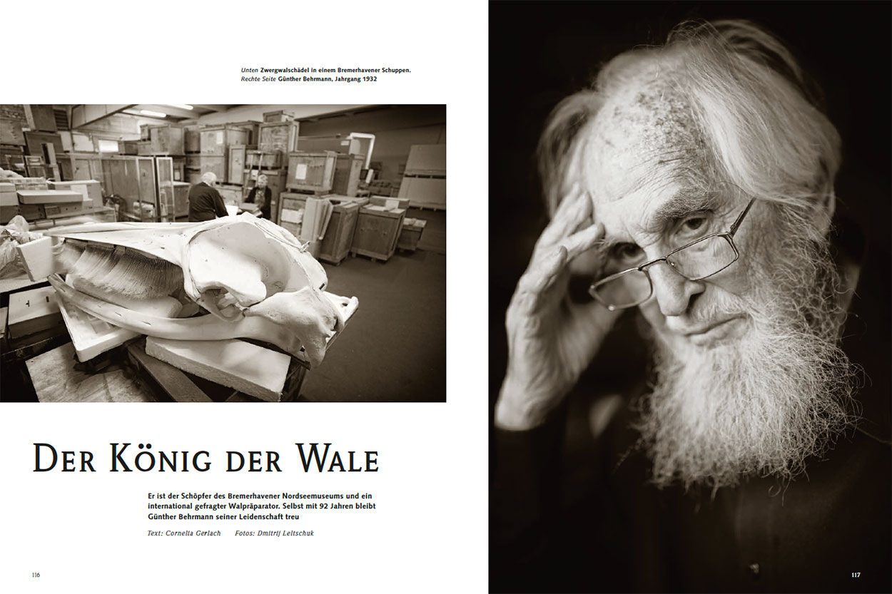 Der König der Wale