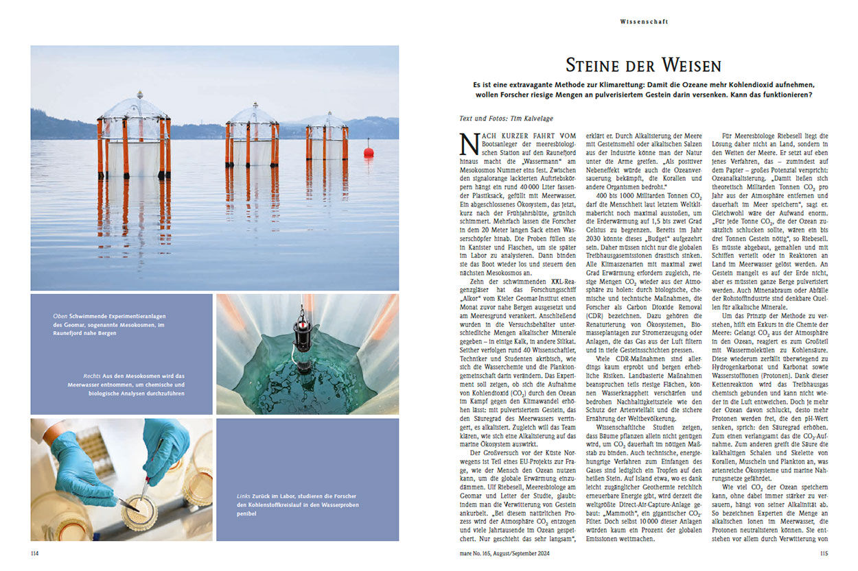 Steine der Weisen
