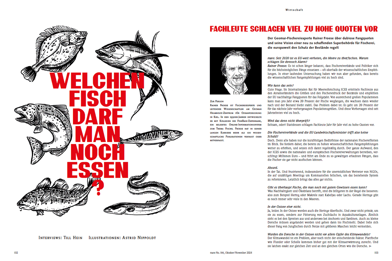Welchen Fisch darf man noch essen?