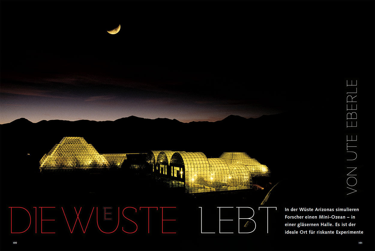 Die Wüste lebt