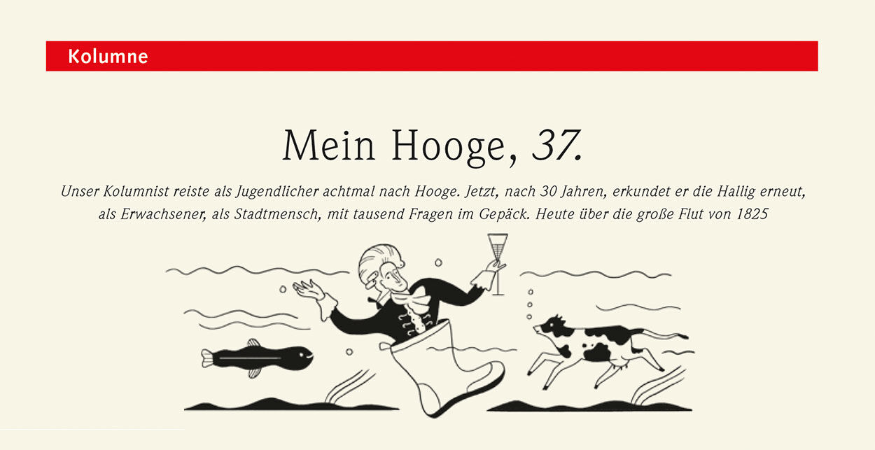 Mein Hooge, 37.