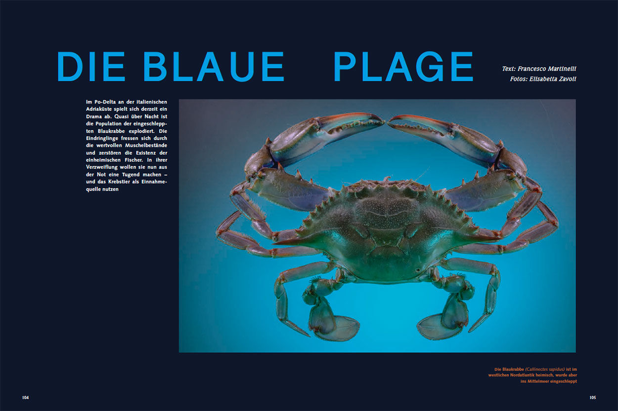 Die blaue Plage