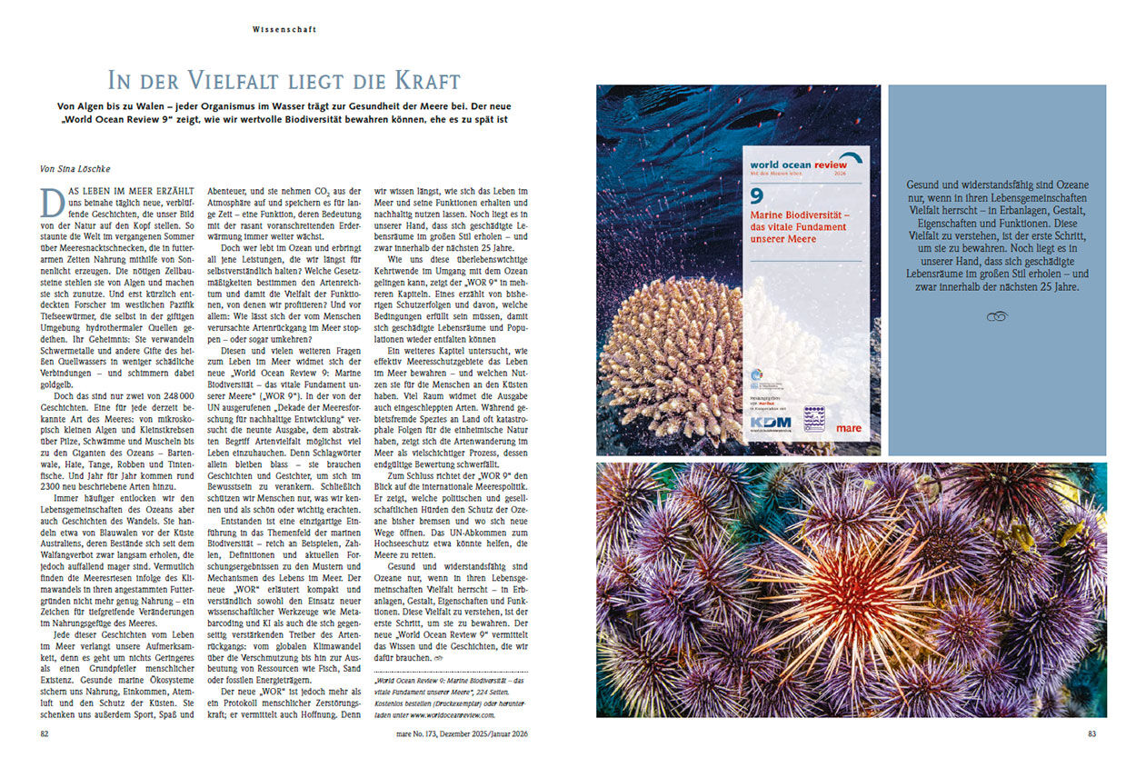 In der Vielfalt liegt die Kraft