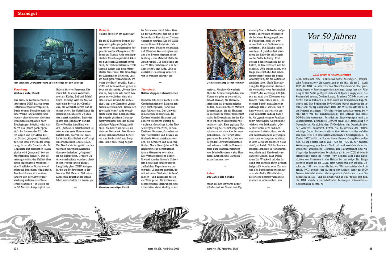 Neuigkeiten aus der Welt der Meere