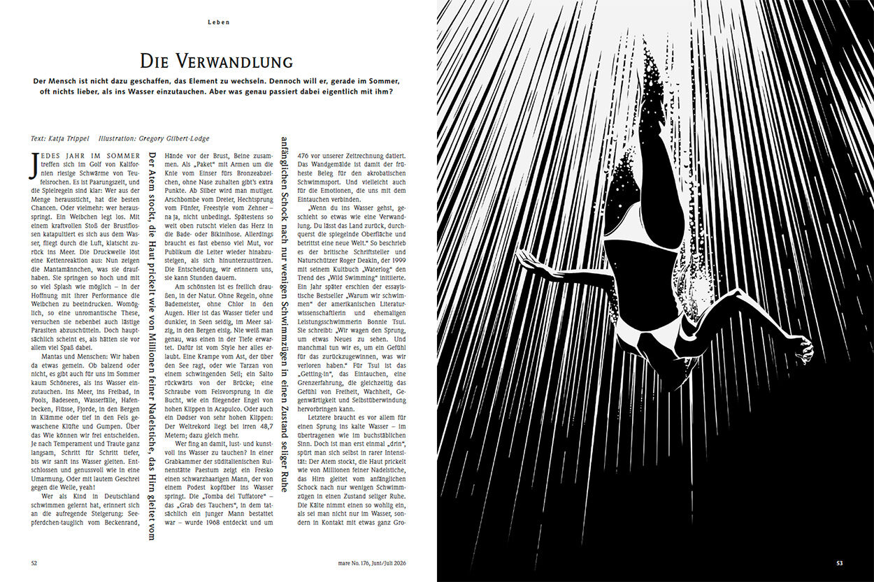 Die Verwandlung