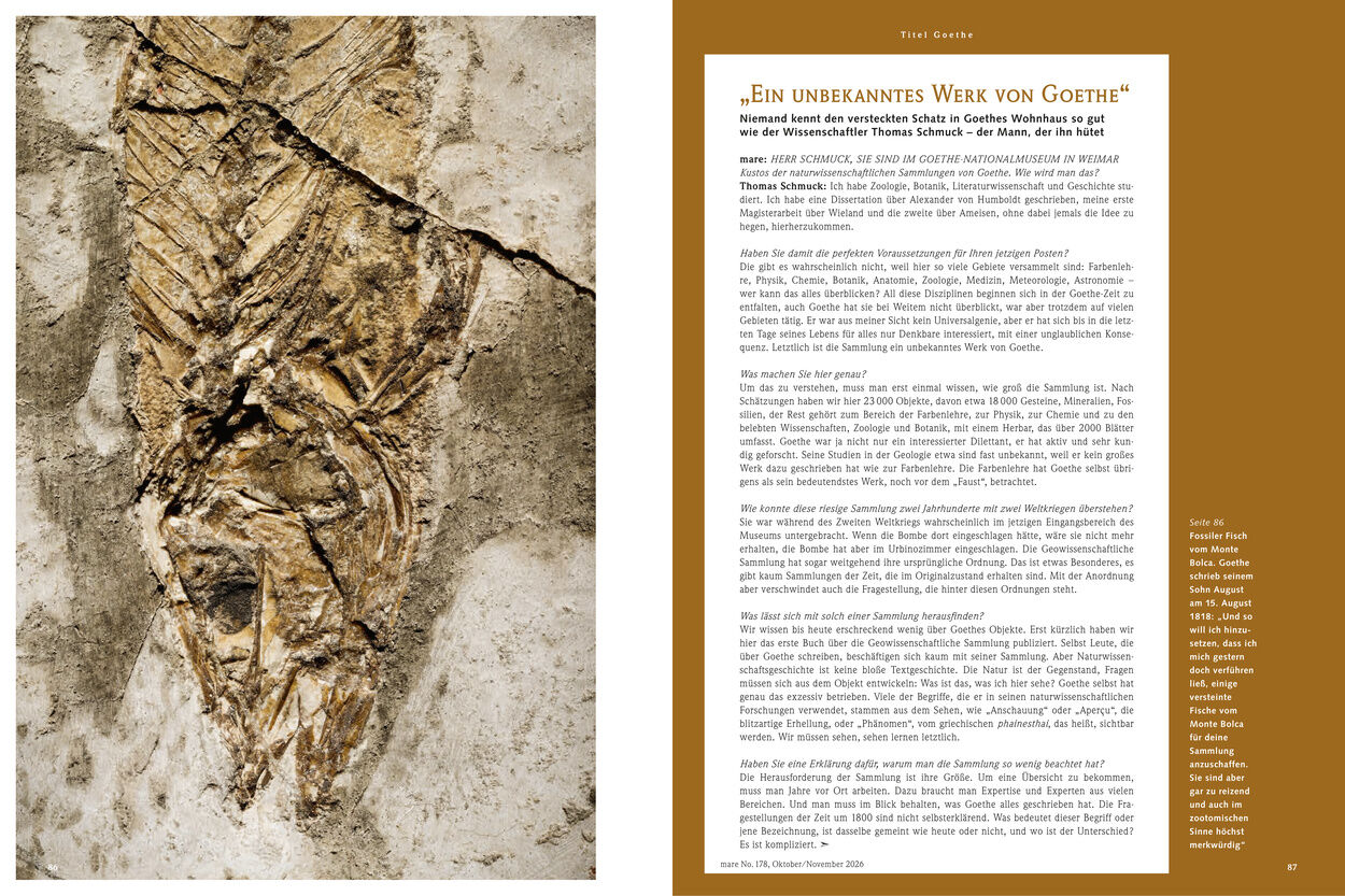 „Ein unbekanntes Werk von Goethe“