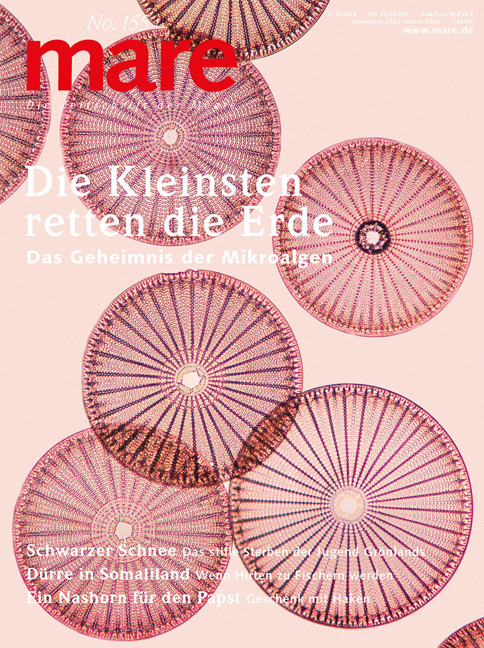 mare No. 155