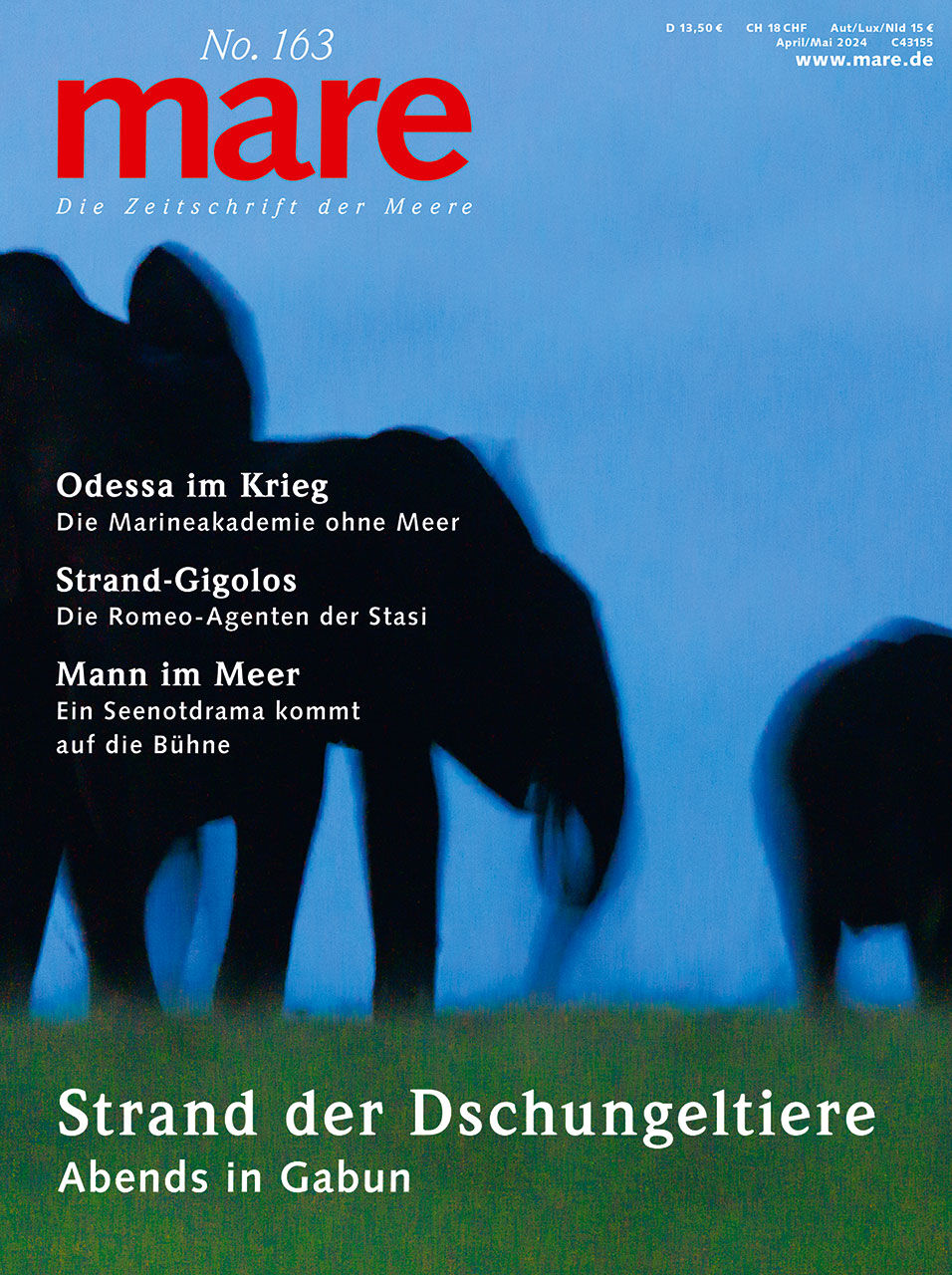 mare No. 163