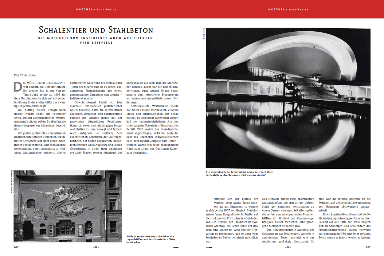 Schwangere Auster