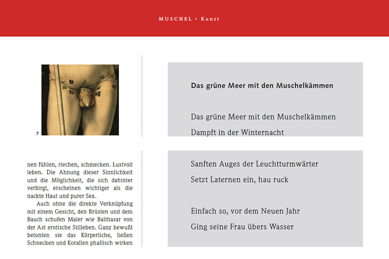 Meer mit Muschelkämmen