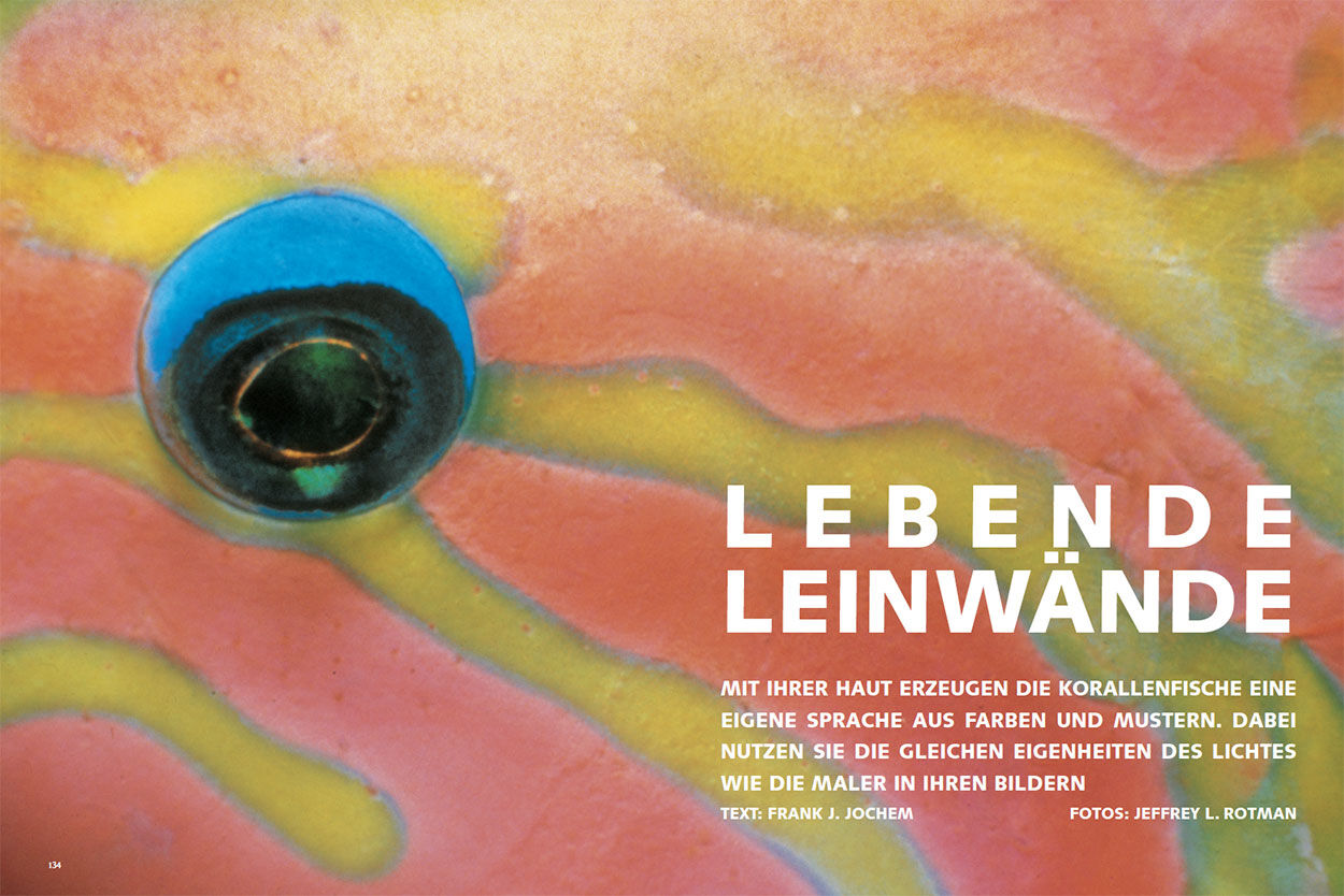 Lebende Leinwände