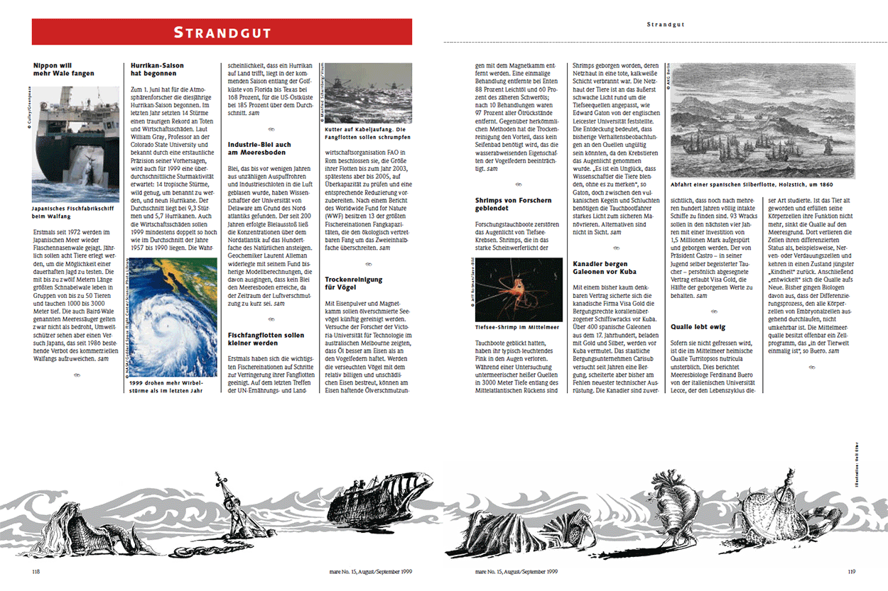 Neuigkeiten aus der Welt der Meere