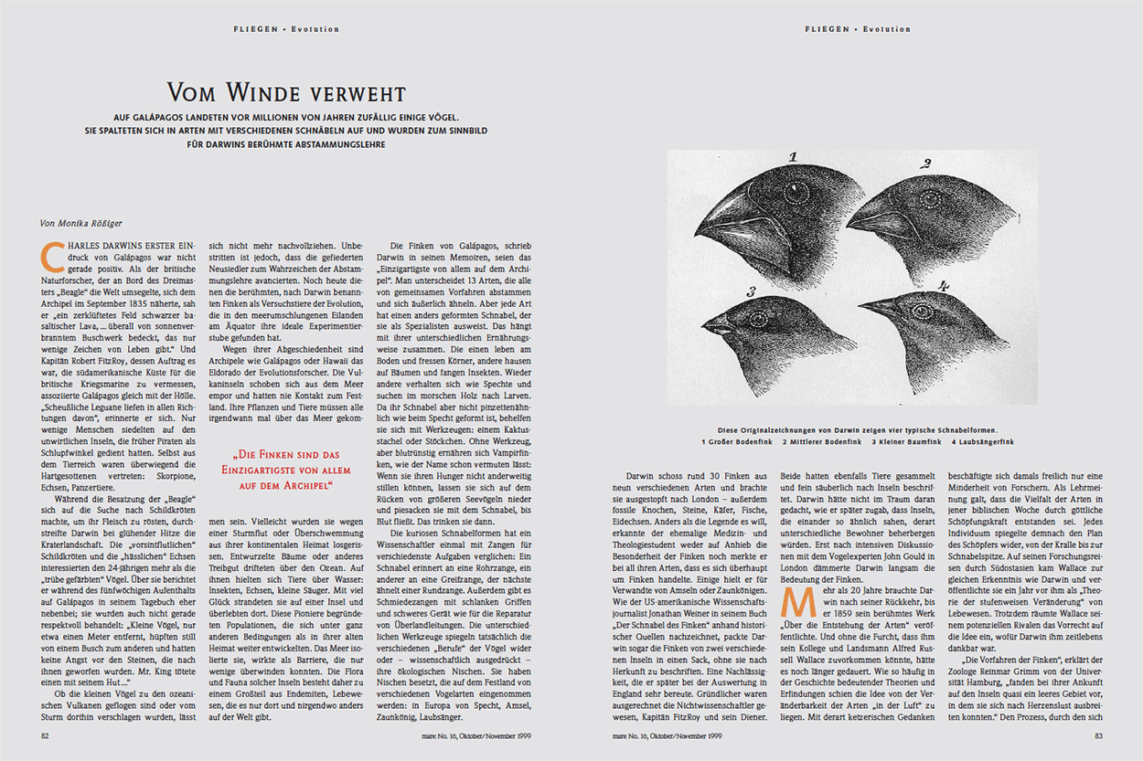 Vom Winde verweht