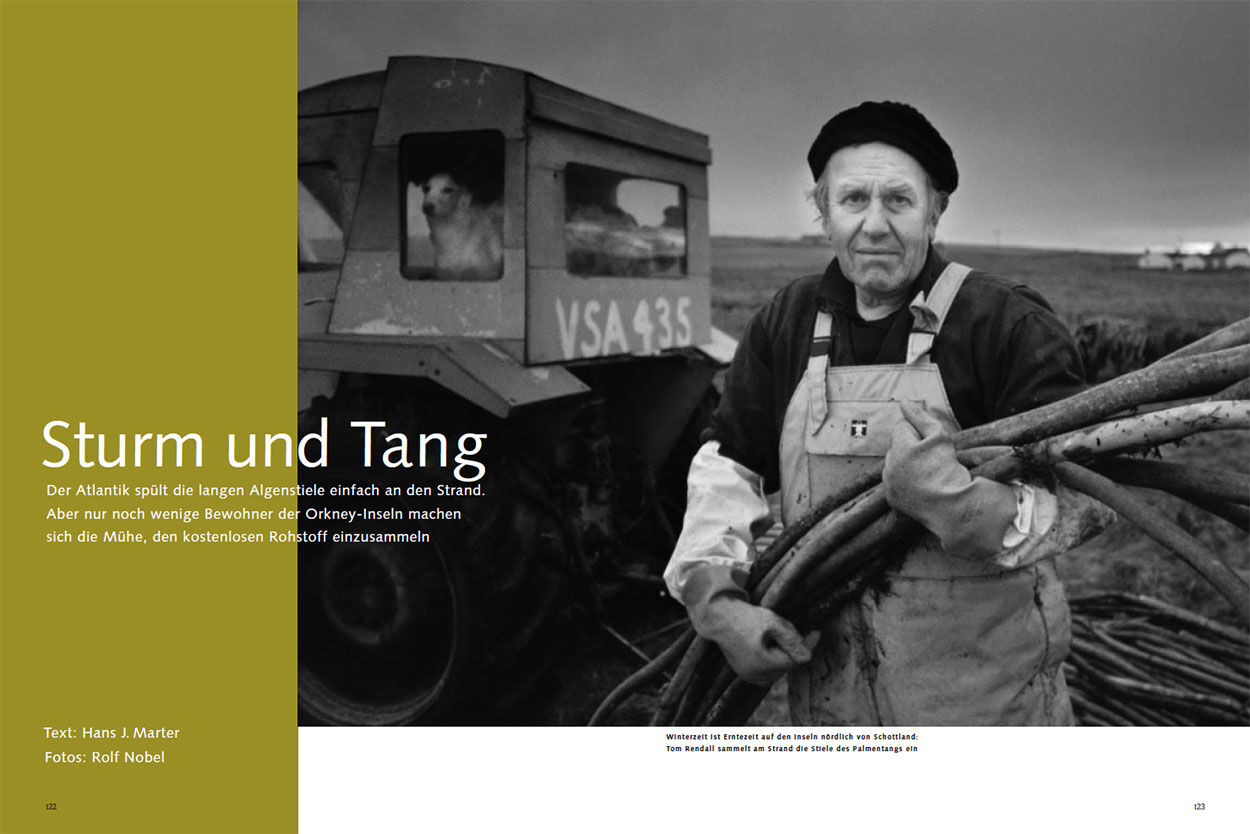 Sturm und Tang