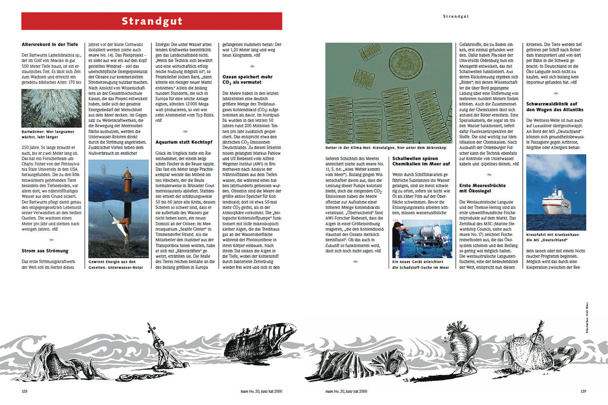 Neuigkeiten aus der Welt der Meere