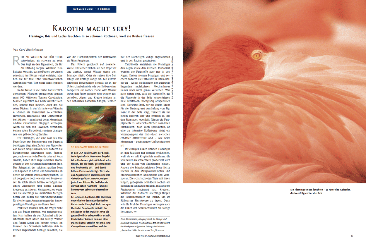 Karotin macht sexy